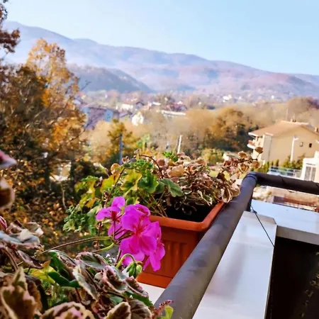 Bluesky アパート *