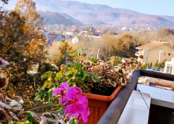 Bluesky アパート *